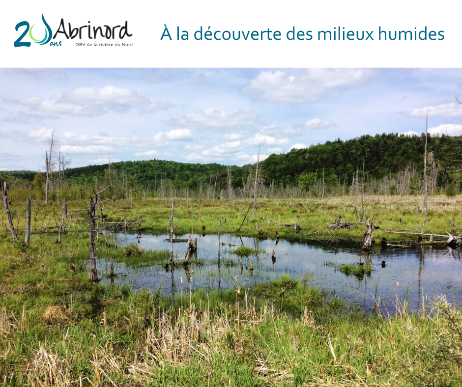 Destination Milieux Humides Et Hydriques - Le Mois De L'Eau